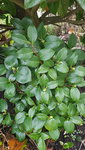 20201129_123855.jpg