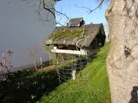 DSC01390.webp