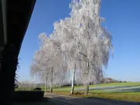 DSC01396.webp