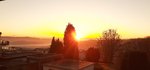 20201128_081844.jpg