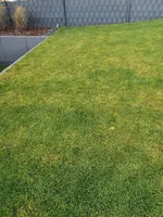20201129_145118[1].webp