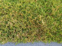 20201129_145023[1].webp