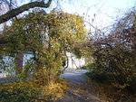 P1020138Haselbogen.JPG