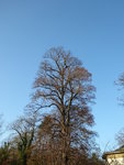 P1020194.JPG