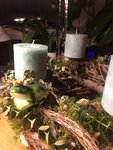9331EADF-84AB-4A9B-9D43-D02BB14496D7.jpeg