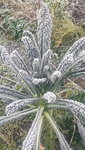 20201130_101643.jpg