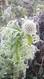 20201130_101639.webp