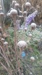 20201130_101626.jpg