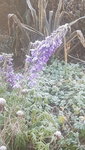 20201130_101633.jpg
