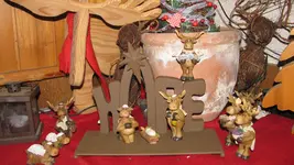 IMG_8638.webp