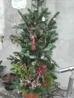 IMG_20201129_144331.webp