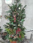 IMG_20201129_144331.jpg