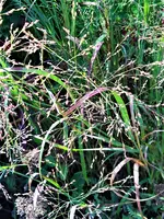 IMG_20200915_125703.webp