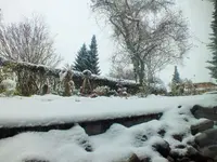 DSCF4293 (2).webp
