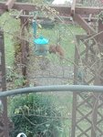 IMG_20201119_105608.jpg