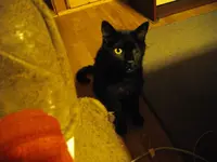 IMGP0571.webp