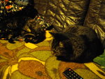 IMGP0569.JPG