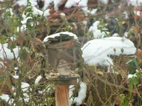 DSCF4307 (2).webp