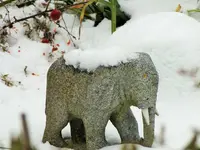 DSCF4317 (2).webp