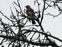 DSCF4319 (2).webp