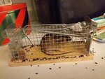 20201204_161509.jpg