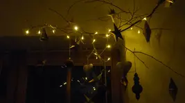 P1240710.webp