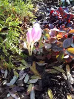 20201206_104328.jpg