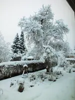 DSCF4321 (2).webp