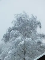 DSCF4328 (3).webp