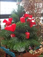 c026.webp