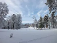 DSCF4387.webp