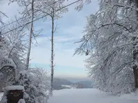 DSCF4391.webp