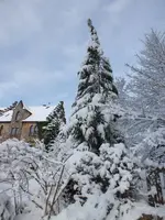 DSCF4392.webp