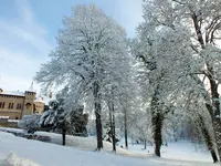 DSCF4361 (2).webp