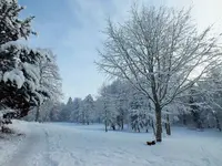 DSCF4363 (2).webp