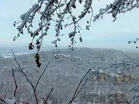 DSCF4372 (2).webp