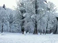 DSCF4374 (2).webp
