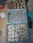 IMG_20201205_163030.jpg