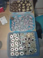 IMG_20201205_163030.webp