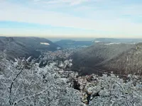 DSCF4378 (2).webp