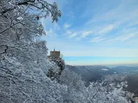 DSCF4379 (2).webp