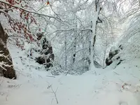 DSCF4380 (2).webp