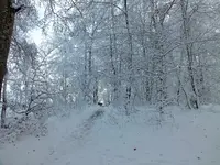 DSCF4381 (2).webp