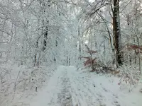 DSCF4382 (2).webp