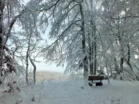 DSCF4383 (2).webp