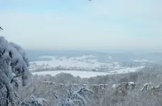 DSCF4386 (4).webp