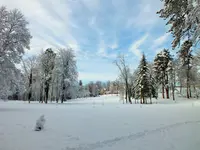 DSCF4387 (2).webp