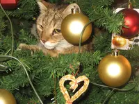 IMG_3547.webp