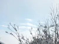DSCF4332.webp
