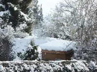 DSCF4347.webp